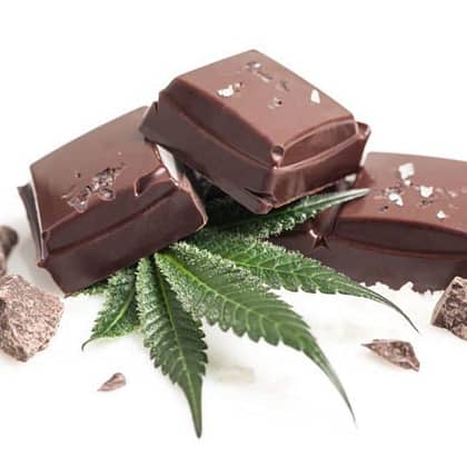 cannabis chocolate
